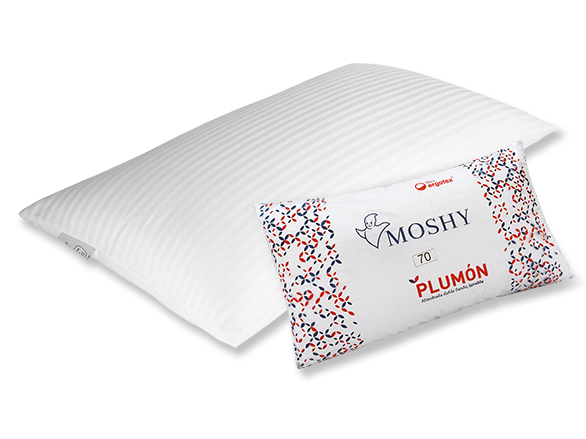 Almohada Plumón